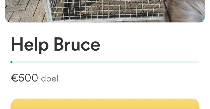 Help Bruce 