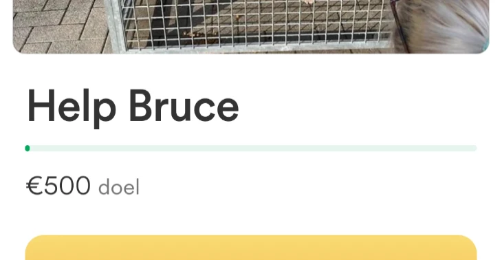 Help Bruce 