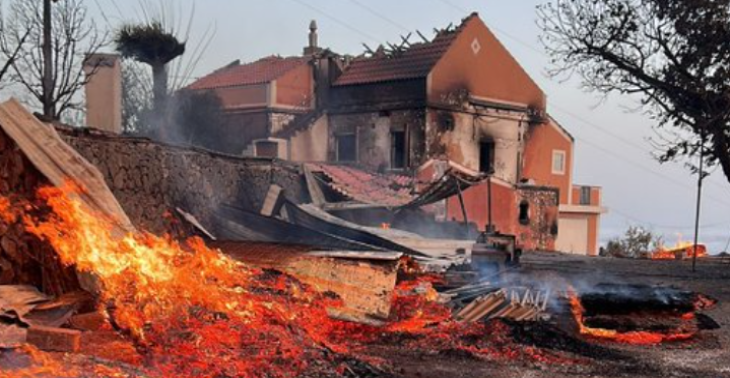 Waldbrand auf La Palma zerstört 7% der Insel