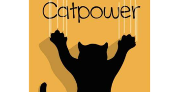 Catpower dringend nood aan donaties en de zoektocht naar een nieuwe locatie