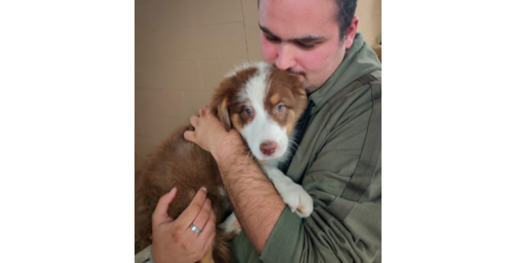 Help Nathan naar zijn (on)betaalbare buddy hond