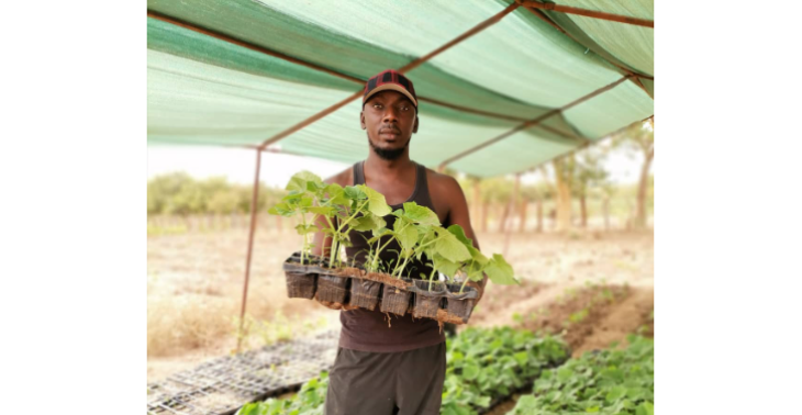 A future for young farmers in the Gambia