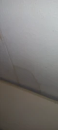 20230805 174248