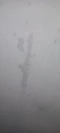 20230805 174349