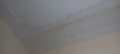 20230805 174501
