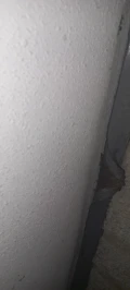 20230805 175252