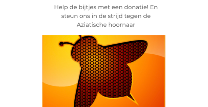 Steun de bijtjes in de strijd tegen de verdelging van aziatische hoornaar
