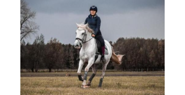 Geld nodig voor ziek paard