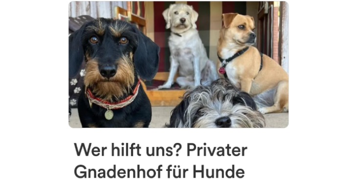 Privater Gnadenhof für Hunde 