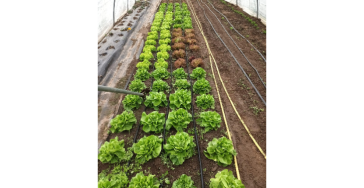 ecologische tuin