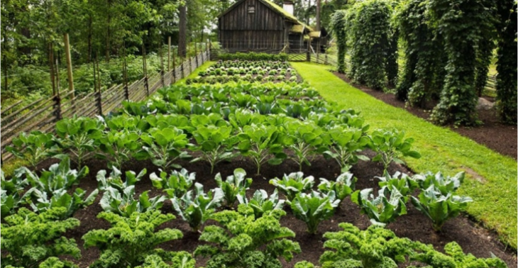 Gartenprojekt für armutsbetroffene Menschen!