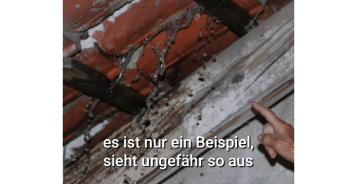 brauche schnell ein Neues Dach