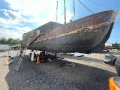 img 5966