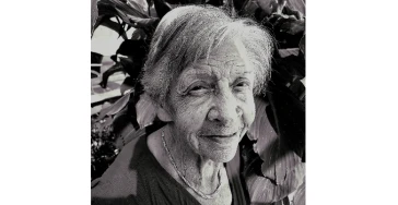 Dementiehond