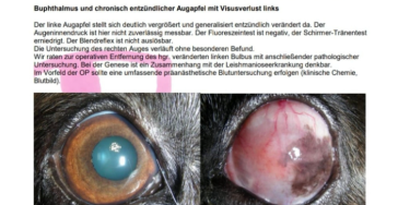 Augen OP für Laila