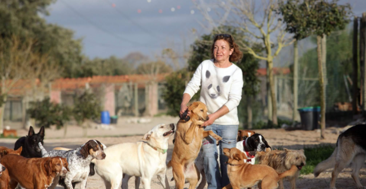 Neues Tierheim Gelände Für Lagos