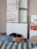 1000001771