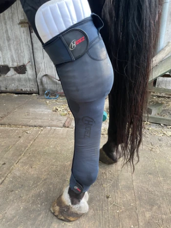 4bbda7f9 3d62 4db9 bf9b ac217bbd9cb9.