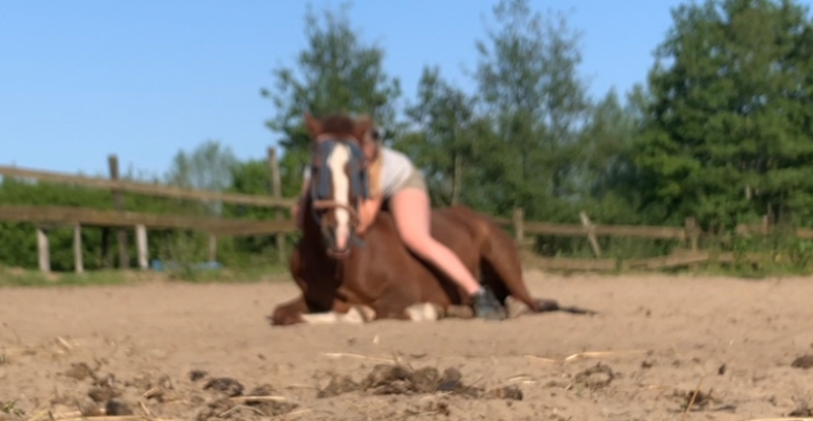 Help de manege 