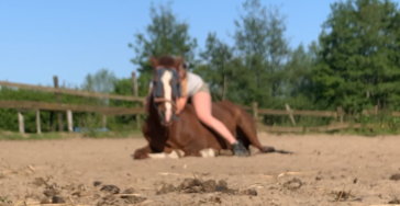 Help de manege