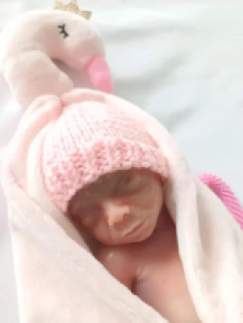 fb img 1698486030680.