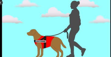 ❤️ Herzenswunsch: Mein Assistenzhund ❤️