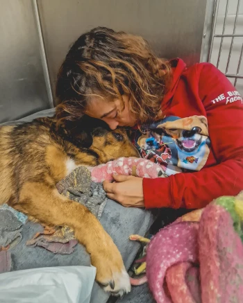 inbound4161978728331625760.