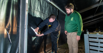 Moedwillige schade gemaakt op evenement