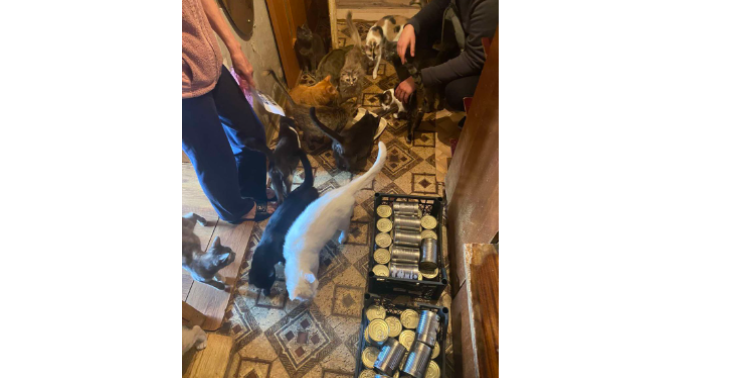 Help honden en katten in Oekraïne de winter door