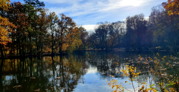 Auszeit für pflegende Angehörige