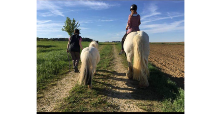 Therapie mit Pferde mit 4Keepers