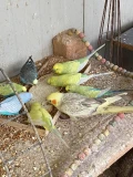 img 0314