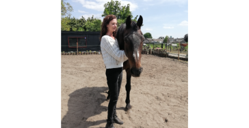 Behoud oude paard Mexx