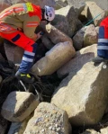 sar