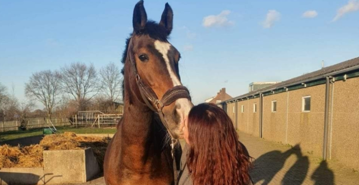 Paarden coaching voor mensen met mentale problemen