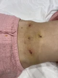img 1333