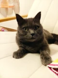 img 20221018 183019