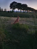 20220527 220924