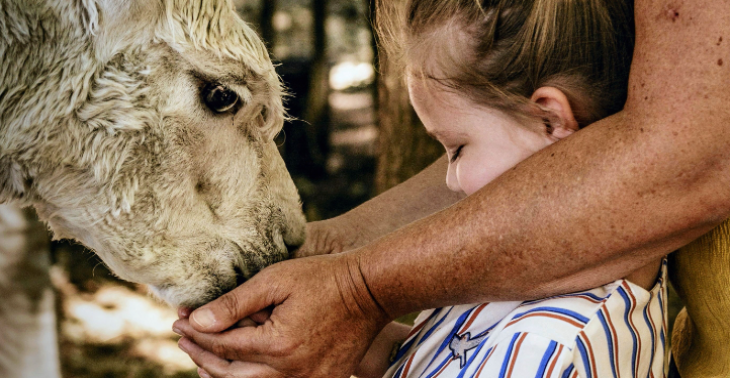 Het Alpaca Project - voor kinderen met hersenlamming