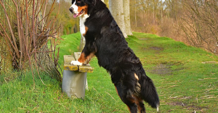 Storm de Berner Senner operatie 