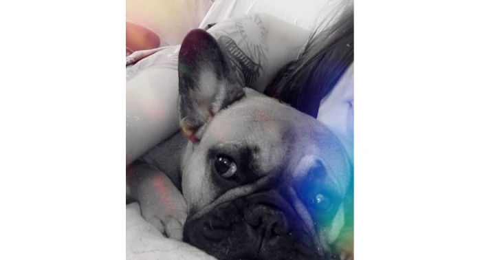 Mijn allerliefste Nala