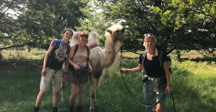 Kameel Einstein voor zorgboerderij