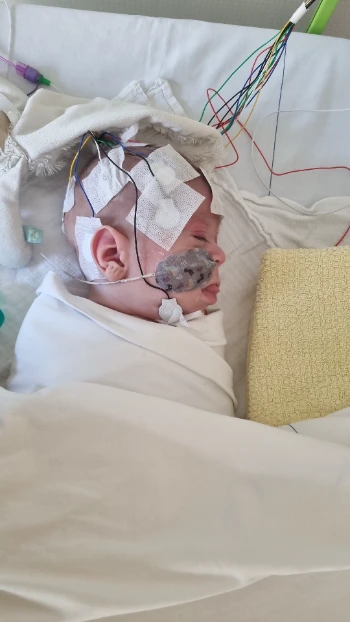 img 20240126 wa0002.