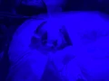 1706216474563