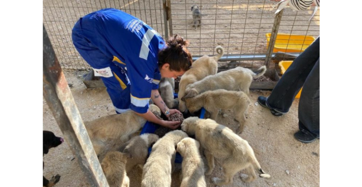 Red Samen Staarten: Een Sprong voor Dierenwelzijn