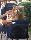 melvin