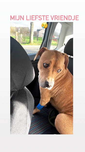 5a4a1a0e 2570 47e1 bbb8 83bf1eaf8ad0.