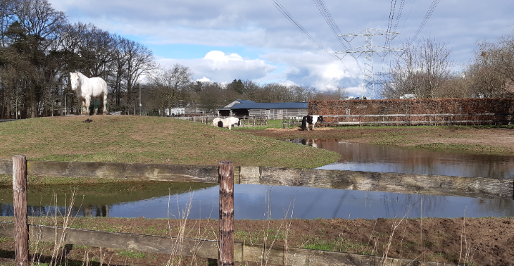 Op de mountainbike voor De Paardenhoeve GGzE