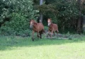 img 3834