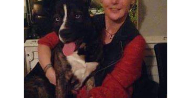 hond heeft HERNIA PERINEALIS